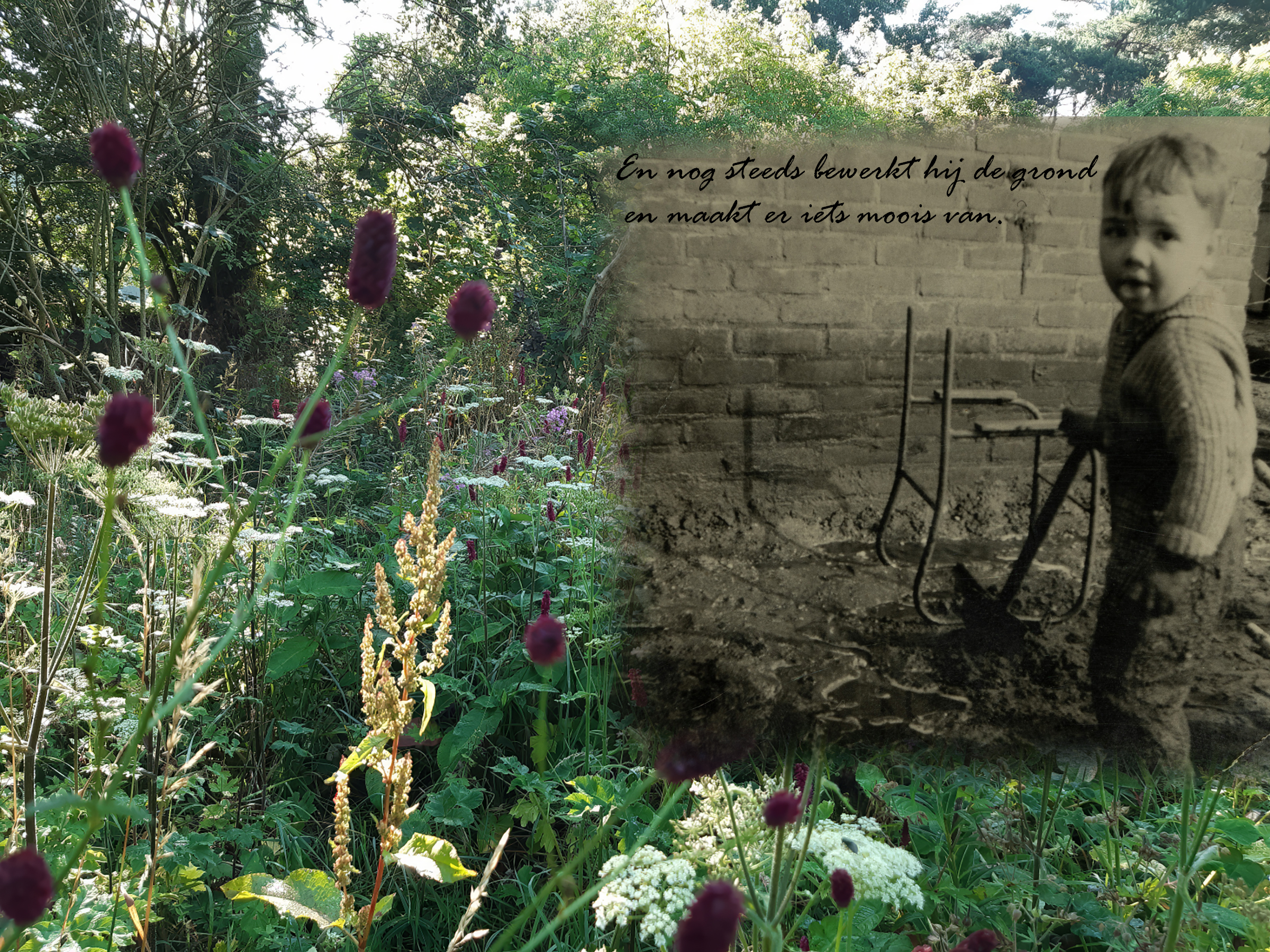 home-Hersteld site kopie met tekst